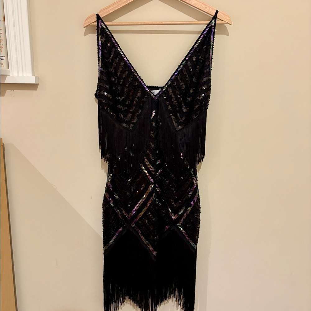 Halloween Costume Sequin Fringe Flapper Dress or Costume
